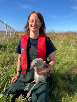 Sarah Dalrymple and a colour ringed GBBG chick